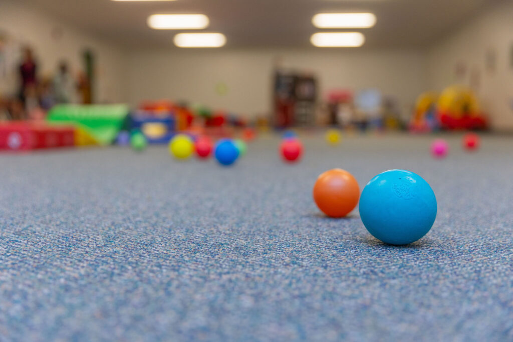 Community Action Program for Children (CAPC)