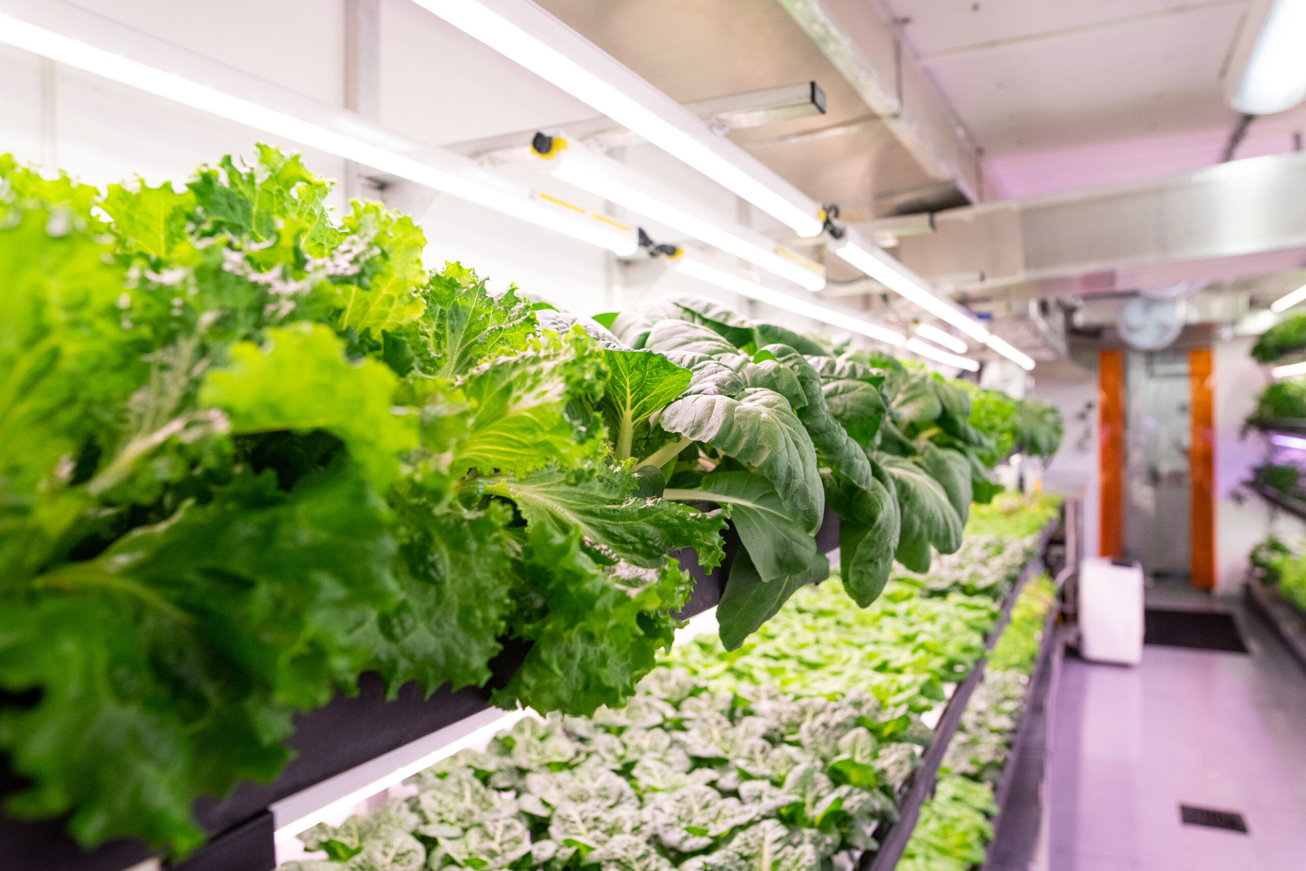 Cranbrook Urban Farm to begin hydroponic operations 